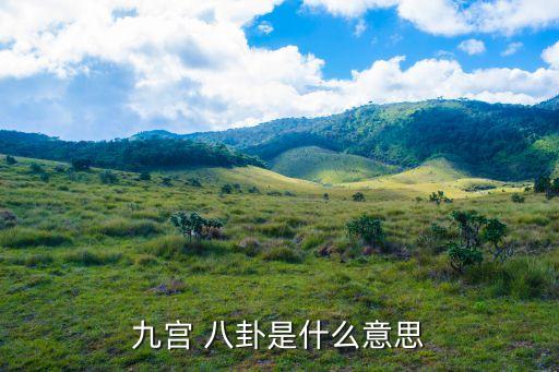 龍鳳八卦什么意思,龍鳳旗代表什么意思...
